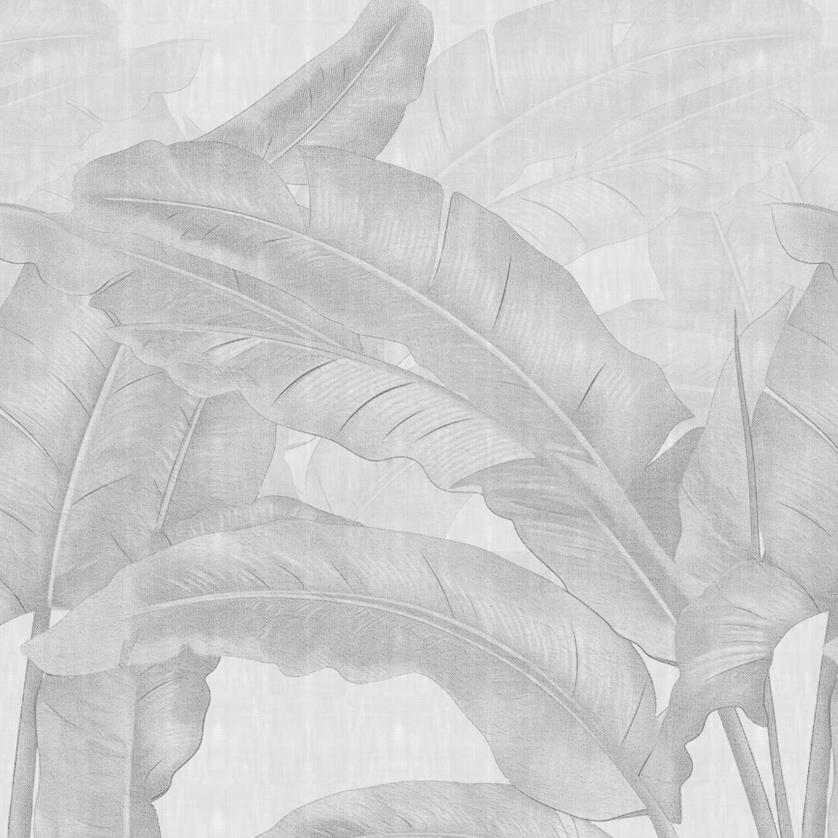 Papel Mural (250532 B)