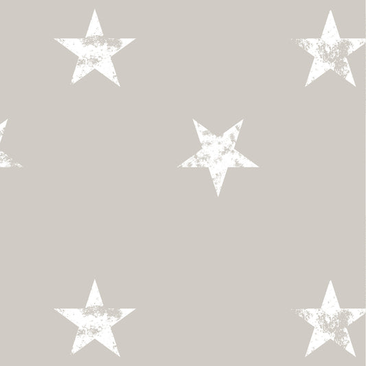 Papel Mural Estrellado (INFP003)